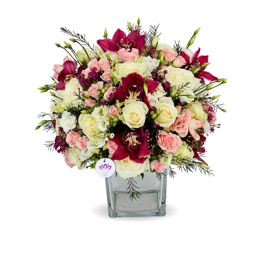 Special Joy - One Faced Design