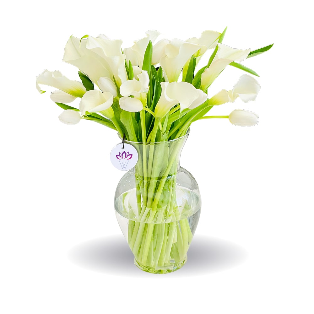 Matterhorn- Calla Lily & Tulips