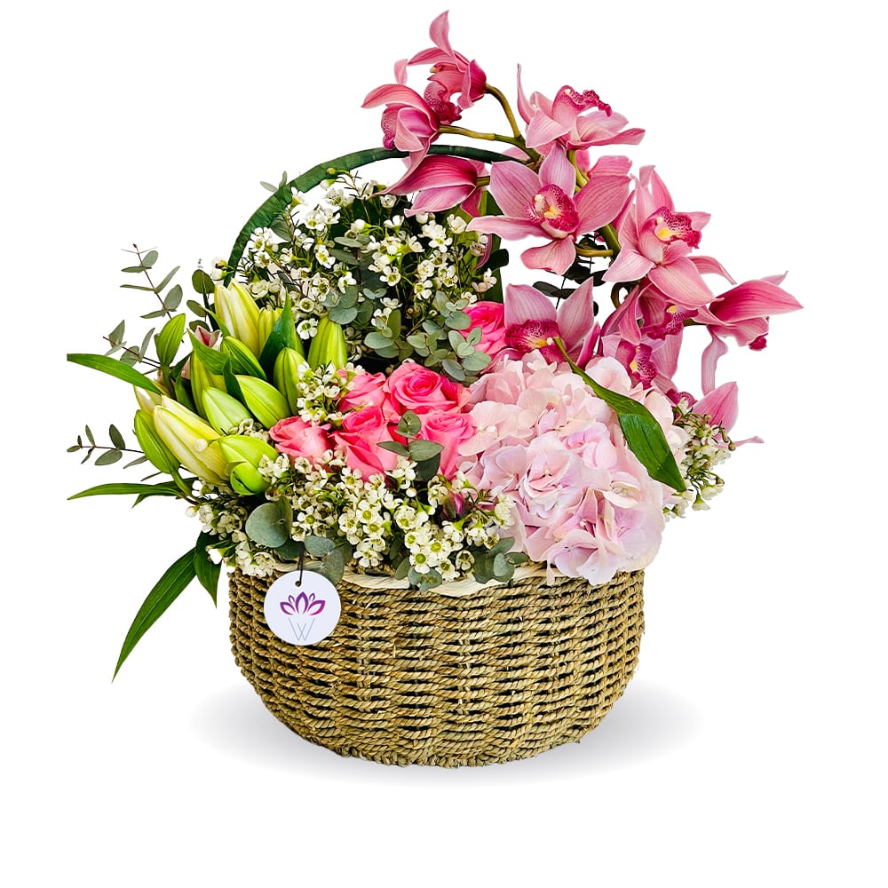 Blooming & Basketful