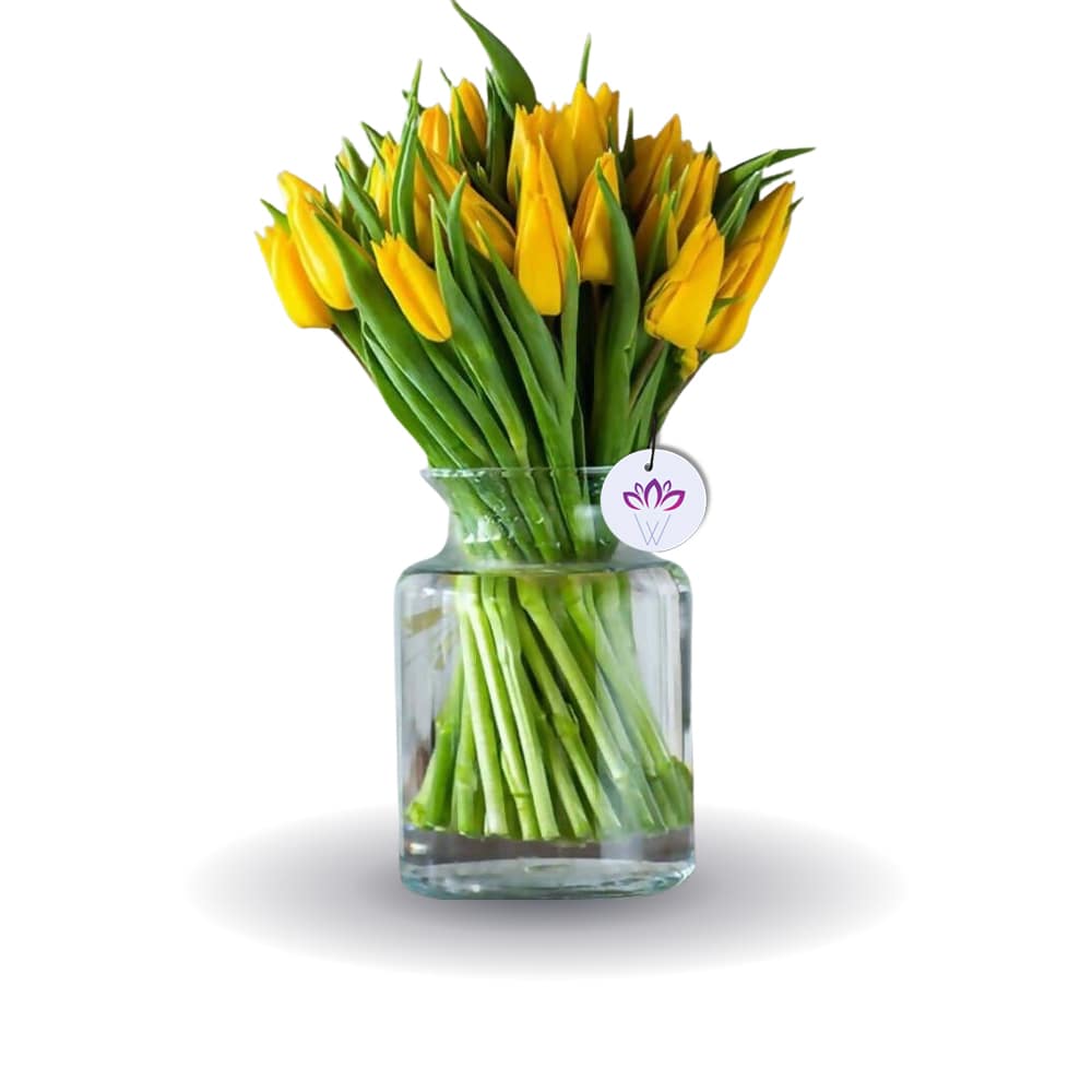 Adorable Hug - 30 tulip