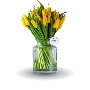 Adorable Hug - 30 tulip