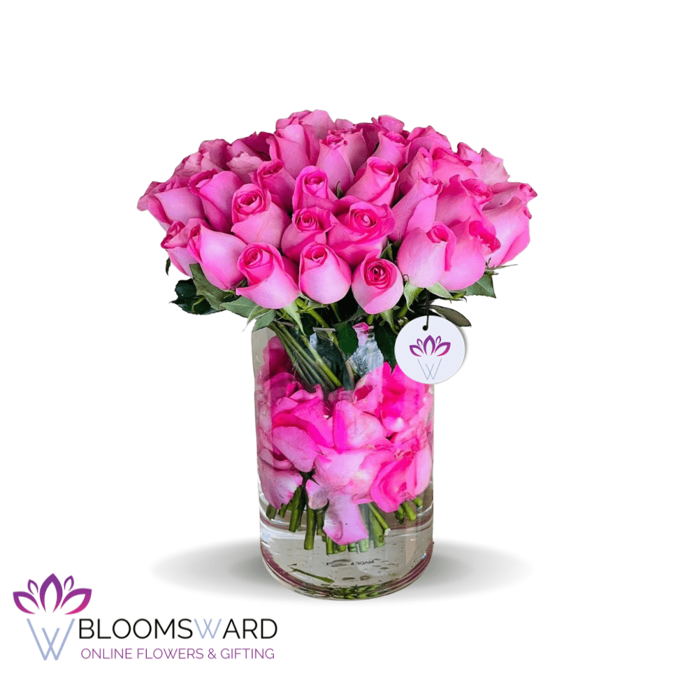 Bright Pinks - 30 ROSE