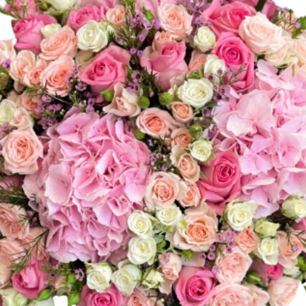 The Pink Celestial