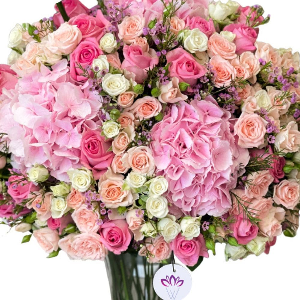 The Pink Celestial