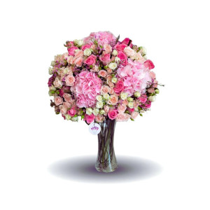 The Pink Celestial