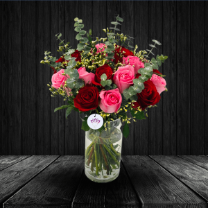 Red & Pink Rose
