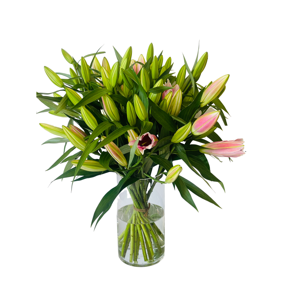 The Bloomzy Stargazers