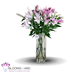 Simply Wow - 12 Stems
