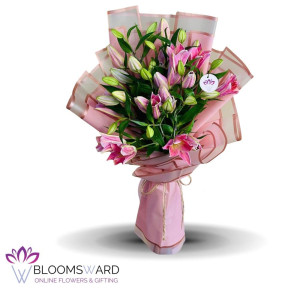 Pink Orion-10 Stems