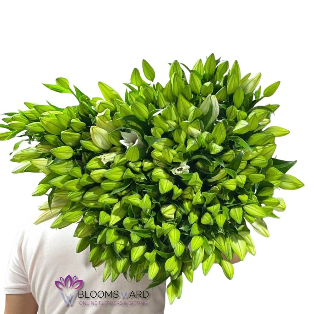 Mix Oriental lily - 50 Stems
