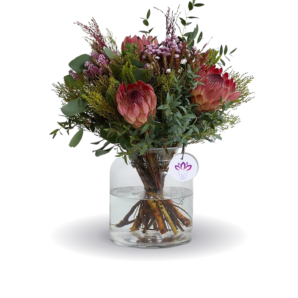 The Protea Grace