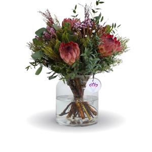 The Protea Grace
