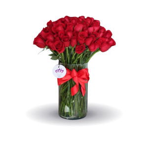 The Love & Bonding - 50 Rose