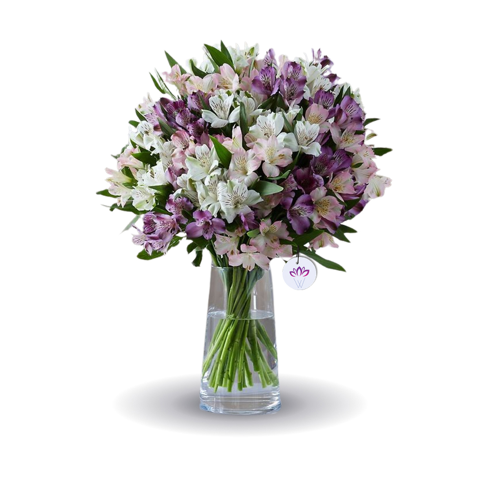 The Classic Combination - 30 Stems Alstroemeria