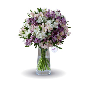 The Classic Combination - 30 Stems Alstroemeria