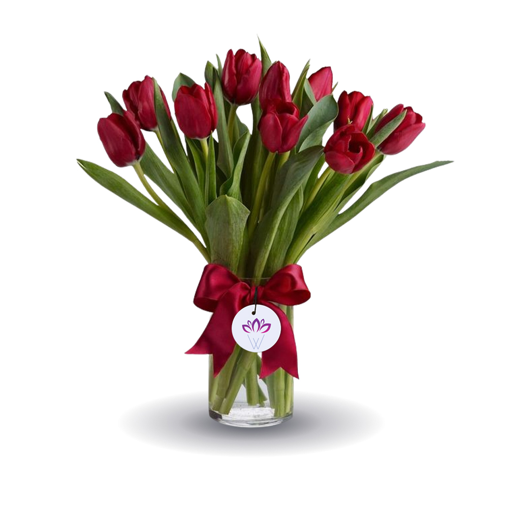 The Red Tulip Moments