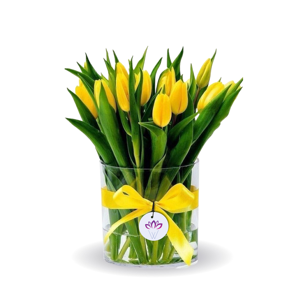 Yellow Sky - 15 tulip