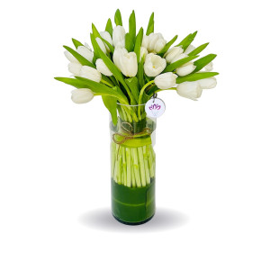 The Sparkling white- - 40 Tulips