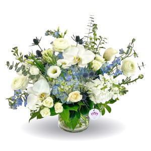 The Captivating Blue