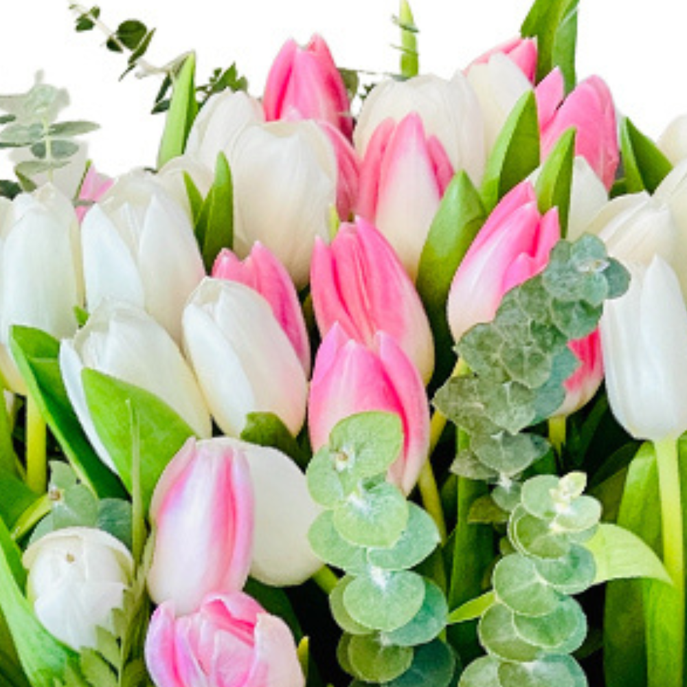 The Lost in Dream - 30 Tulips
