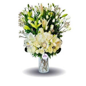 The Joyous White