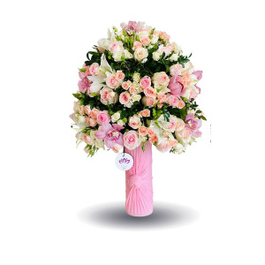 The Pink Siberia