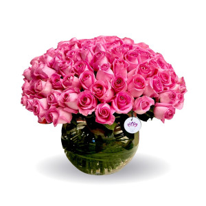 The Pink Tradition - 50 Rose
